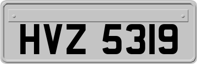 HVZ5319