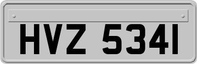 HVZ5341