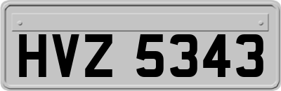 HVZ5343