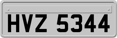 HVZ5344