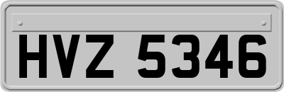 HVZ5346
