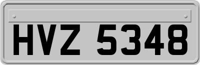 HVZ5348