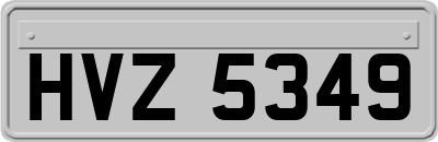HVZ5349