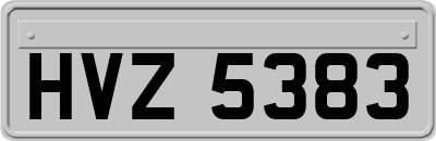 HVZ5383