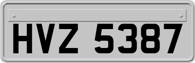 HVZ5387