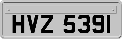 HVZ5391