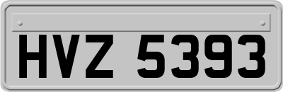 HVZ5393