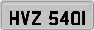 HVZ5401