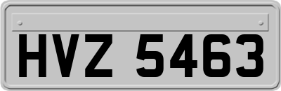 HVZ5463