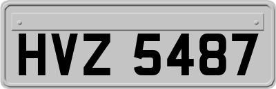 HVZ5487