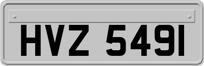HVZ5491