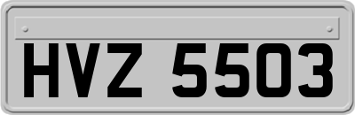 HVZ5503