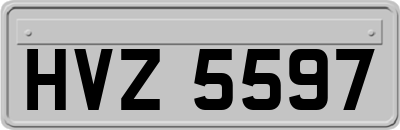 HVZ5597