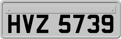 HVZ5739