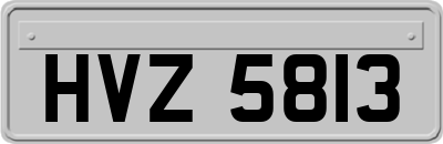 HVZ5813