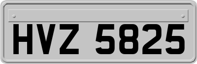 HVZ5825