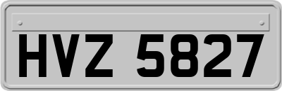 HVZ5827