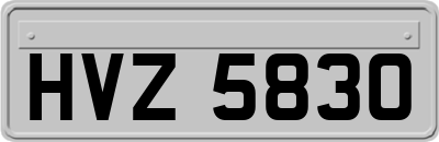 HVZ5830
