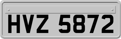 HVZ5872