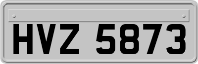 HVZ5873