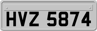 HVZ5874