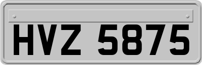 HVZ5875