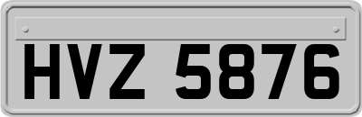 HVZ5876