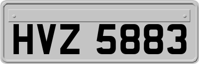 HVZ5883