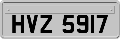 HVZ5917