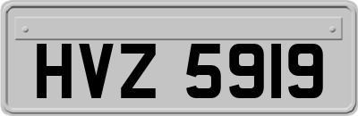 HVZ5919