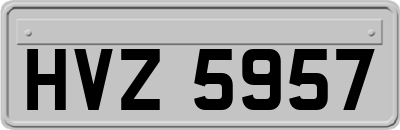 HVZ5957