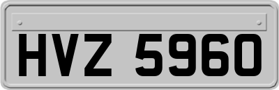 HVZ5960