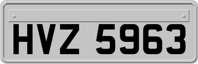 HVZ5963