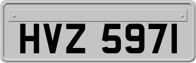 HVZ5971