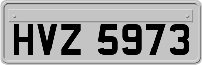 HVZ5973
