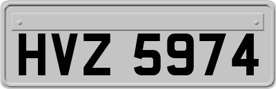 HVZ5974