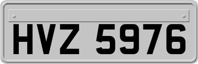 HVZ5976