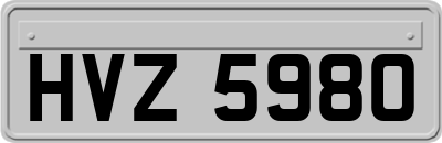 HVZ5980
