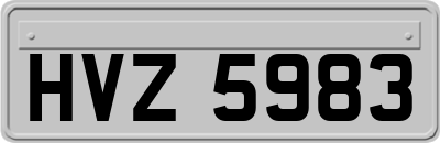 HVZ5983