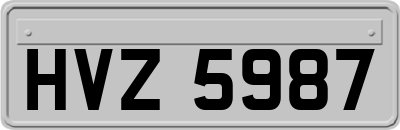 HVZ5987