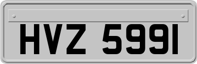 HVZ5991