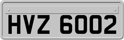 HVZ6002