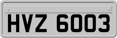 HVZ6003