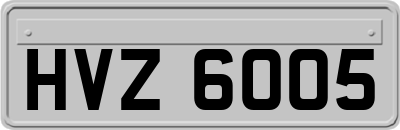 HVZ6005