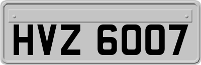 HVZ6007