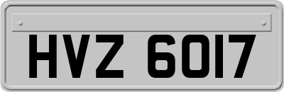 HVZ6017