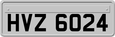 HVZ6024