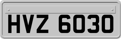 HVZ6030