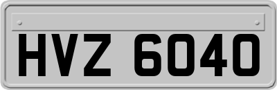HVZ6040