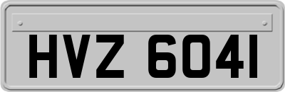 HVZ6041